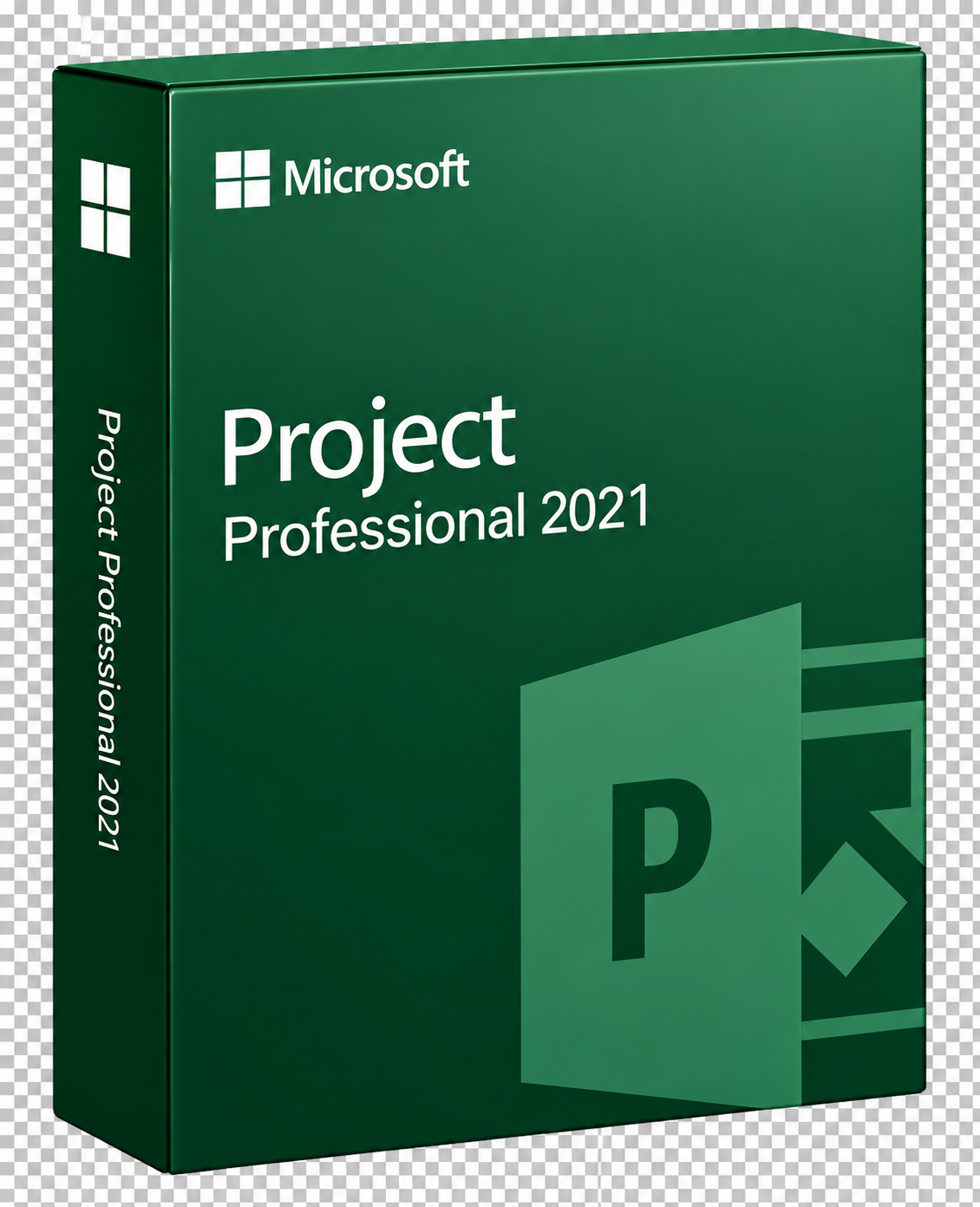 Microsoft Project Professional 2021